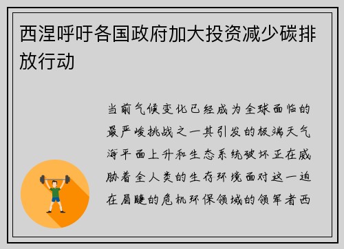 西涅呼吁各国政府加大投资减少碳排放行动
